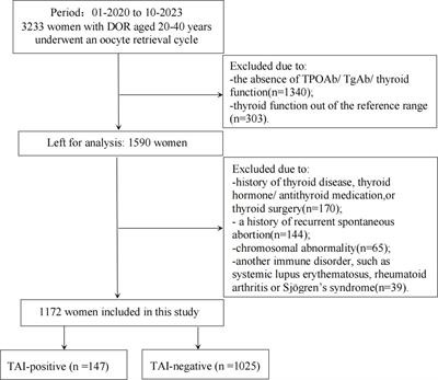 Impaired embryo development potential associated with thyroid autoimmunity in euthyroid infertile women with diminished ovarian reserve